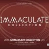 2023 Panini Immaculate UFC Hobby Box - Panini